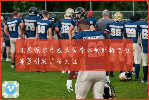 克尼佩尔已成为黄蜂队的新标志性球员引发广泛关注