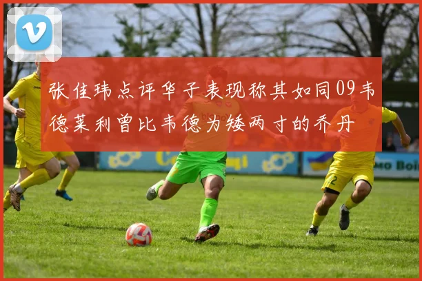 张佳玮点评华子表现称其如同09韦德莱利曾比韦德为矮两寸的乔丹