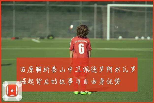 苗原解析泰山中卫佩德罗阿尔瓦罗崛起背后的故事与自由身优势