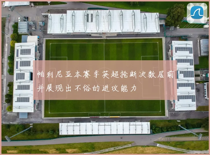 帕利尼亚本赛季英超抢断次数居前并展现出不俗的进攻能力